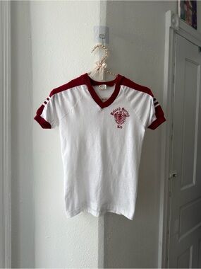 Vintage 70s Velva Sheen Poland Spring Kid vneck raglan sleeve T-shirt